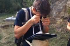 Marienthal9