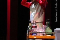 LA VOCE E MOBILE_0042