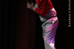 LA VOCE E MOBILE_0050