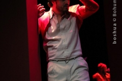 LA VOCE E MOBILE_0054