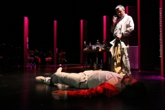 LA VOCE E MOBILE_0194