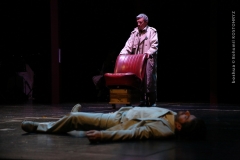 LA VOCE E MOBILE_0406