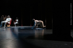 LA VOCE E MOBILE_0520