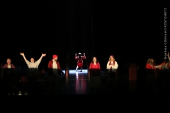 LA VOCE E MOBILE_0648