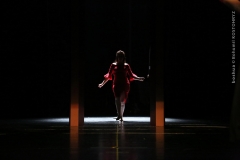 LA VOCE E MOBILE_0670