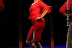 LA VOCE E MOBILE_0683