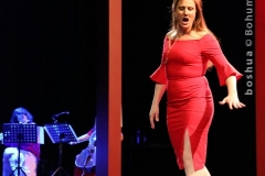 LA VOCE E MOBILE_0799