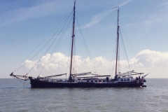 13149825_10153637767711395_590007705_n