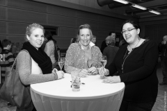 20160321-0003_LJBM_Theaterowend