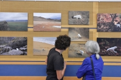 Expo Nanoq (1 sur 18)