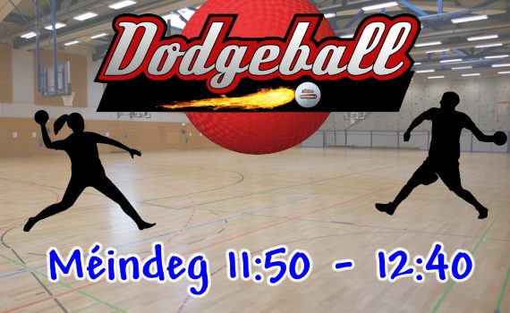 Affiche Dodgeball