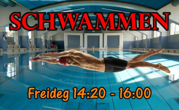 Affiche Schwammen
